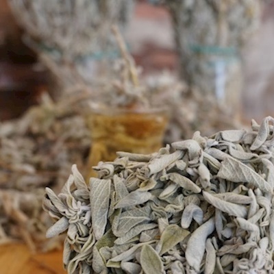 Calba Sage (Salvia Fruticosa) 